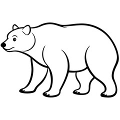 Polar bear vector