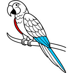 Vibrant Macaw Perched on a Branch