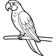 Vibrant Macaw Perched on a Branch