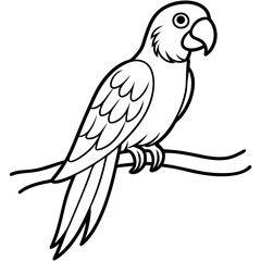 Vibrant Macaw Perched on a Branch