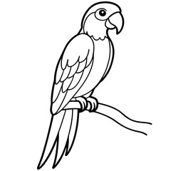 Vibrant Macaw Perched on a Branch