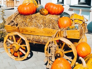 pumpkins on a farm