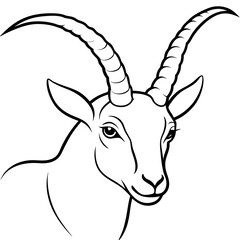 Intricate Spiraled Horns of an Ibex - Vector Art