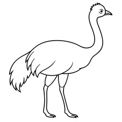 Graceful Emu Tall and Sleek Vector Design