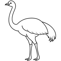 Graceful Emu Tall and Sleek Vector Design