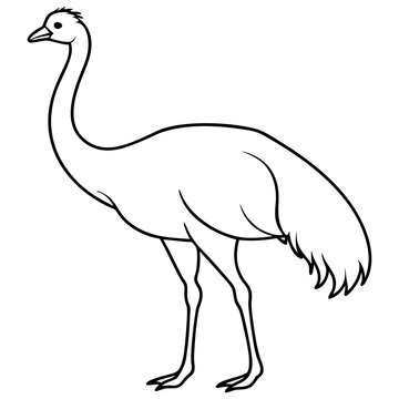recommend clip art: Graceful Emu Tall and Sleek Vector Design