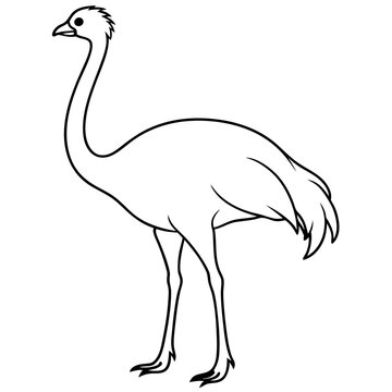 recommend clip art: Graceful Emu Tall and Sleek Vector Design