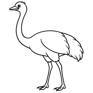 recommend clip art: Graceful Emu Tall and Sleek Vector Design
