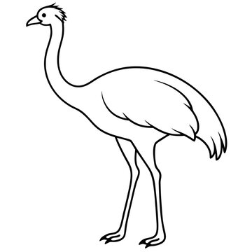 recommend clip art: Graceful Emu Tall and Sleek Vector Design