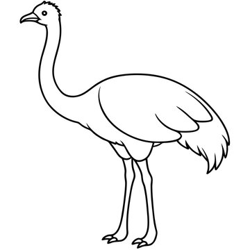 recommend clip art: Graceful Emu Tall and Sleek Vector Design