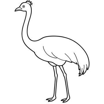 recommend clip art: Graceful Emu Tall and Sleek Vector Design