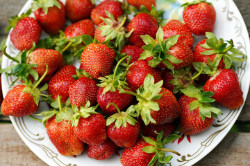 Plate of strawberries in the garden top view