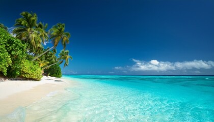 Fototapeta premium Tropical paradise beach with clear blue water