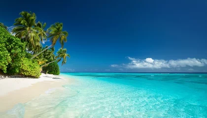 Poster de jardin  Tropical paradise beach with clear blue water  © Bonita
