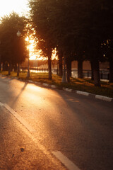 A street with a tree on the right side of the road. The sun is setting and the light is shining on the road