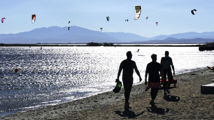 Surfers walking along the beach shore on a sunny day.
