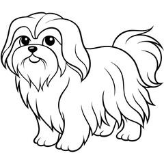 Adorable Shih Tzu Face with Flowing Fur - Vector Art