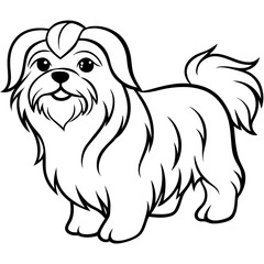 Adorable Shih Tzu Face with Flowing Fur - Vector Art