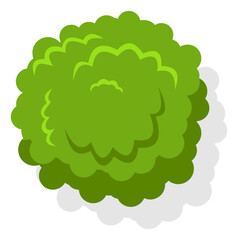 Woodland plant top view. Natural green tree