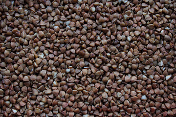 buckwheat close-up

