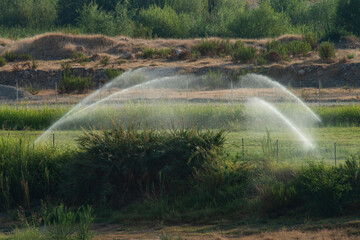 The irrigation of the agricultural landscape and the green crops in the fields are done with a professional water sprinkler system. 