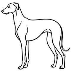 Elegant Great Dane Tall, Proud, and Slim Vector Art