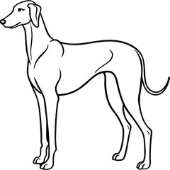 Elegant Great Dane Tall, Proud, and Slim Vector Art