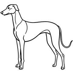 Elegant Great Dane Tall, Proud, and Slim Vector Art