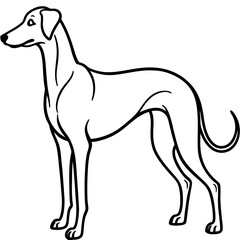 Elegant Great Dane Tall, Proud, and Slim Vector Art