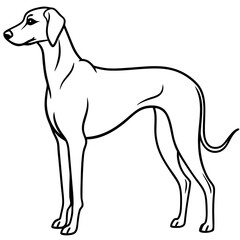 Elegant Great Dane Tall, Proud, and Slim Vector Art