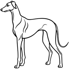 Elegant Great Dane Tall, Proud, and Slim Vector Art