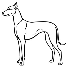 Elegant Great Dane Tall, Proud, and Slim Vector Art