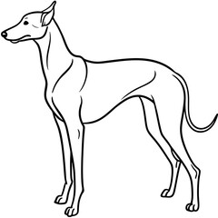 Elegant Great Dane Tall, Proud, and Slim Vector Art