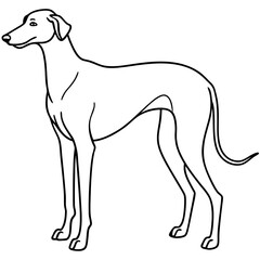 Elegant Great Dane Tall, Proud, and Slim Vector Art