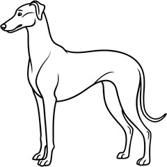 Elegant Great Dane Tall, Proud, and Slim Vector Art