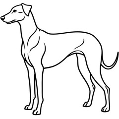 Elegant Great Dane Tall, Proud, and Slim Vector Art