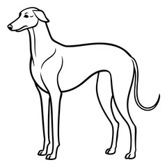 Elegant Great Dane Tall, Proud, and Slim Vector Art