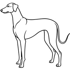 Elegant Great Dane Tall, Proud, and Slim Vector Art