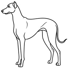 Elegant Great Dane Tall, Proud, and Slim Vector Art