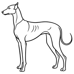 Elegant Great Dane Tall, Proud, and Slim Vector Art