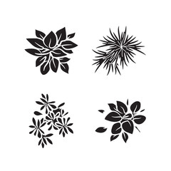 Silhouette of potted plant, rubber fig, Dieffenbachia seguine, Yucca Gigantea Elephantipes plant from hand-drawn top view	