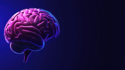 Colorful brain illustration on a dark background, showcasing the complexity of human cognition.