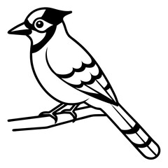 Minimalist Blue Jay on Branch Crest and Beak Focus Vector Art
