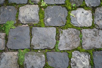 Rough stone pavement texture with worn surfaces and moss growing between