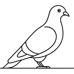 Minimalist Vector of a Pigeon on a Ledge