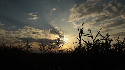 puesta de sol en la Ampolla tarragona después de la lluvia, fondo pantalla, fondo escritorio