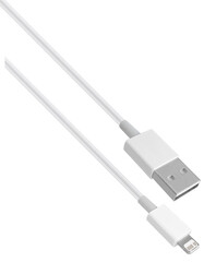 USB and Lightning cable and connector