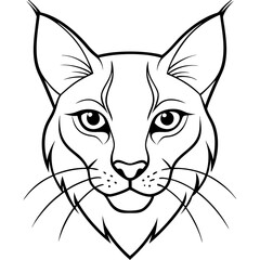 Lynx Eyes Focused with Minimal Fur Line Art Vector