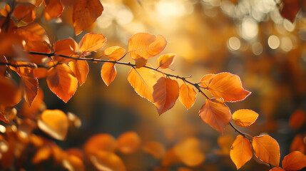 autumn leaves in the sun background wallpaper backdrop orange bokeh sunlight yellow green