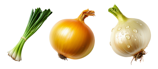 Onions yellow and white varieties with fresh green onions